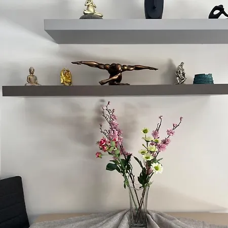 Appartement Denia Akrotiri (Zakynthos)