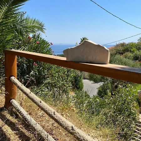 Denia Akrotiri (Zakynthos)